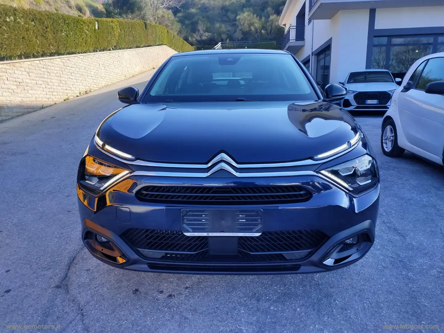 Citroen C4 PureTech 130 S&S Plus Blu/Azzurro - 2