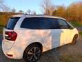 Citroen Grand C4 SpaceTourer 130ch Business + EAT Weiß - thumbnail 17