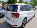 Citroen Grand C4 SpaceTourer 130ch Business + EAT Weiß - thumbnail 22