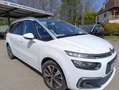 Citroen Grand C4 SpaceTourer 130ch Business + EAT Weiß - thumbnail 2