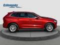 Volvo XC60 B4 Momentum Pro/Navi/LED/AHK/Standhz/Kamera Klima Rouge - thumbnail 6