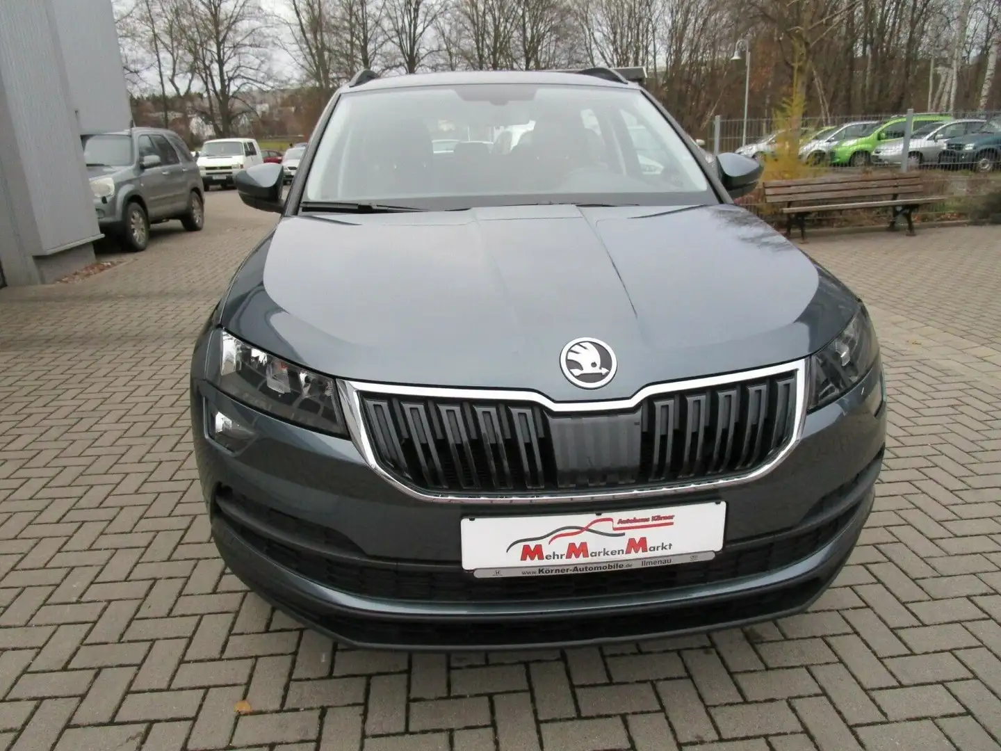 Skoda Karoq Active+WR Grau - 2
