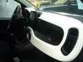 Fiat Panda Cross Pandina 1.0 FireFly Hybrid 5P Nuovo Modell Wit - thumbnail 27