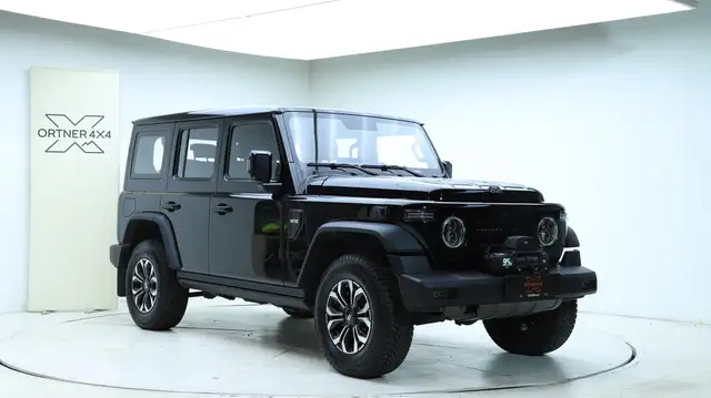 BAW 212 ORTNER 4X4 Offroad Customs Ansicht 10