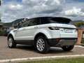 Land Rover Range Rover Evoque 4x4 2.2 td4 150cv 5porte Pure Tech auto. GANCIO T. Weiß - thumbnail 9