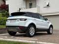 Land Rover Range Rover Evoque 4x4 2.2 td4 150cv 5porte Pure Tech auto. GANCIO T. Weiß - thumbnail 8