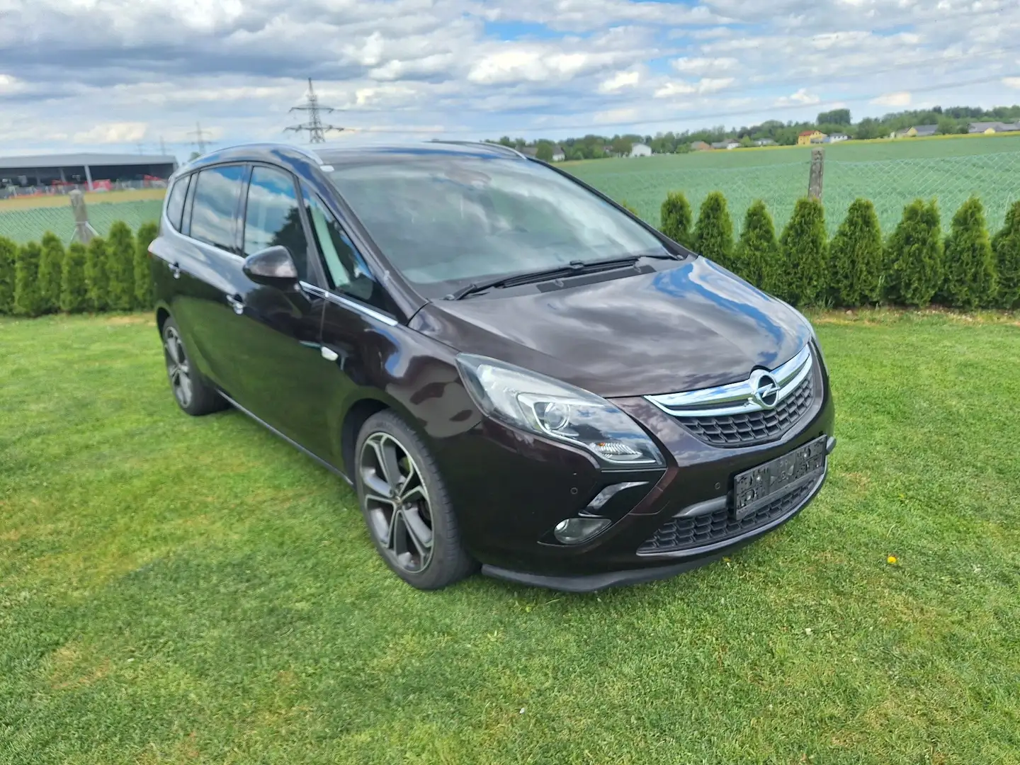 Opel Zafira Tourer 2,0 CDTI Ecotec Cosmo - 1