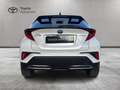 Toyota C-HR C-HR 2.0h Lounge e-cvt Bianco - thumbnail 11