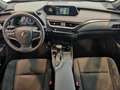 Lexus UX 300e Business Navigation 2WD Grau - thumbnail 27