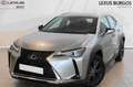 Lexus UX 300e Business Navigation 2WD Grau - thumbnail 1