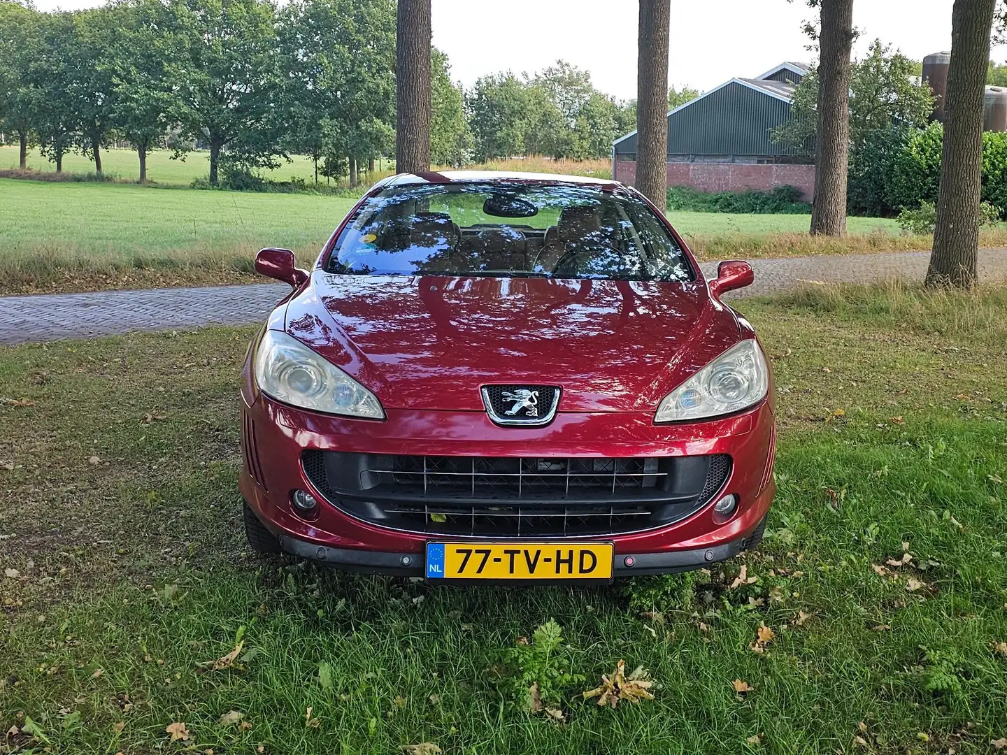 Peugeot 407 407 2.2-16V Pack Rood - 2