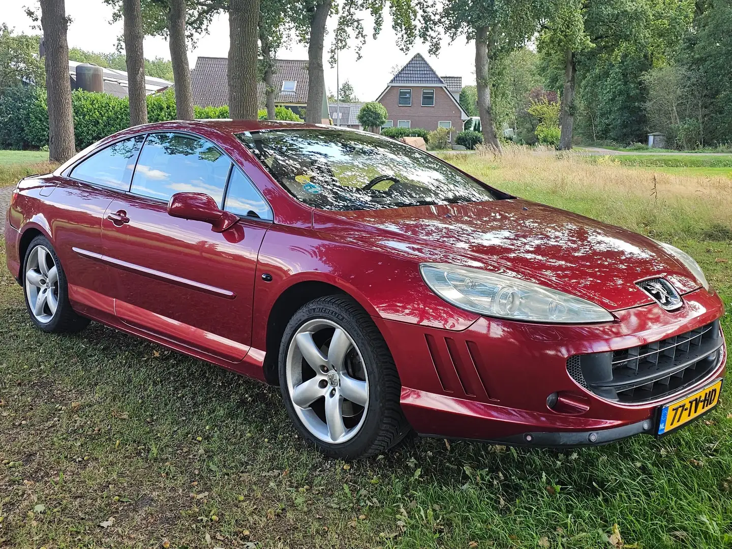 Peugeot 407 407 2.2-16V Pack Rood - 1