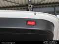 Mercedes-Benz C 220 d 4M T AMG Line *LED*Pano*AHK*360*Memo*FLA Weiß - thumbnail 8