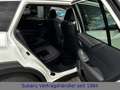 Subaru OUTBACK Outback Active Bílá - thumbnail 13