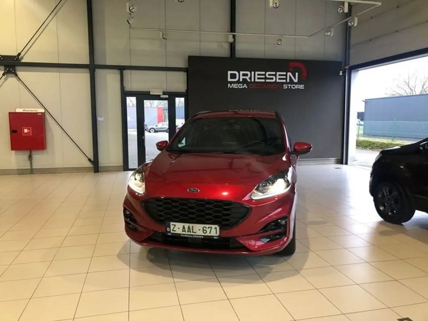 Ford Kuga ST LINE  2.5 FHEV   BIJ DRIESEN IN BREE   089/4616 Rouge - 1