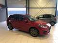 Ford Kuga ST LINE  2.5 FHEV   BIJ DRIESEN IN BREE   089/4616 Rouge - thumbnail 3