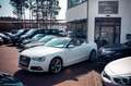 Audi Q3 35 TFSI |AHK|NAVI|ACC|SHZ|LANE + SIDE ASSIST| Blau - thumbnail 19