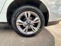 Ford Focus Turnier Zahnriemensatz NEU/Vollausstattung Weiß - thumbnail 16