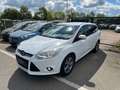 Ford Focus Turnier Zahnriemensatz NEU/Vollausstattung Weiß - thumbnail 1