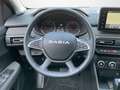 Dacia Sandero TCe 90 CVT Journey Blau - thumbnail 10