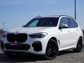 BMW X5 HEADUP | 360° | LUCHTVERING | H&K Weiß - thumbnail 2