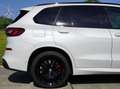 BMW X5 HEADUP | 360° | LUCHTVERING | H&K Weiß - thumbnail 17