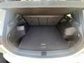 Volkswagen Tiguan TDI R-Line 4M DSG MATRIX AHK PANO 20" NAVI Weiß - thumbnail 16
