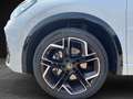 Volkswagen Tiguan TDI R-Line 4M DSG MATRIX AHK PANO 20" NAVI Weiß - thumbnail 12