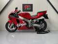 Kawasaki Ninja ZX-7R P3 and P4 *collectable - thumbnail 7