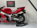 Kawasaki Ninja ZX-7R P3 and P4 *collectable - thumbnail 9