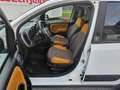 Fiat Panda Rock 4x4 Klima Start/Stop Servicegepflegt - thumbnail 10
