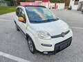 Fiat Panda Rock 4x4 Klima Start/Stop Servicegepflegt - thumbnail 3
