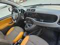 Fiat Panda Rock 4x4 Klima Start/Stop Servicegepflegt - thumbnail 11