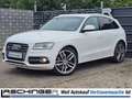Audi SQ5 3.0 TDI quattro LEDER XEN NAVI KAM KEYLESS Wit - thumbnail 1