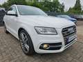 Audi SQ5 3.0 TDI quattro LEDER XEN NAVI KAM KEYLESS Wit - thumbnail 3
