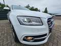 Audi SQ5 3.0 TDI quattro LEDER XEN NAVI KAM KEYLESS Wit - thumbnail 14
