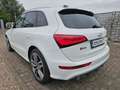 Audi SQ5 3.0 TDI quattro LEDER XEN NAVI KAM KEYLESS Wit - thumbnail 5