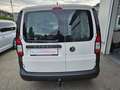 Volkswagen Caddy Cargo Maxi TDI "AHV, Klima" Weiß - thumbnail 3