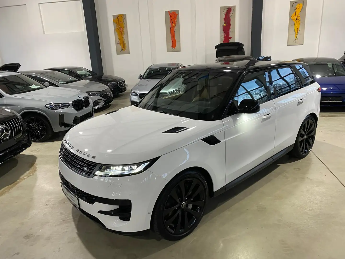 Land Rover Range Rover Sport D 250 SE/Pano/23-Zoll/ACC/360/ Weiß - 2