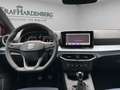 SEAT Ibiza FR 1.0 TSI 85 kW (116 PS) 6-Gang Rouge - thumbnail 13