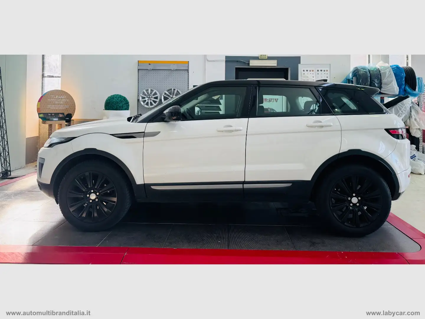 Land Rover Range Rover Evoque RR Evoque 2.0 eD4 5p. SE Dynamic Білий - 2