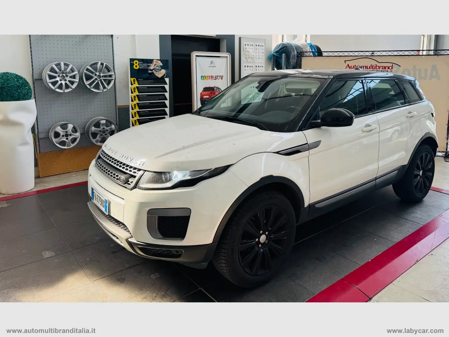 Land Rover Range Rover Evoque RR Evoque 2.0 eD4 5p. SE Dynamic Білий - 1