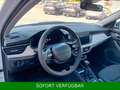 Skoda Kamiq 1.5 TSI DSG Premium,AHK,el.HK,NAVI,beh.FS Blanco - thumbnail 23