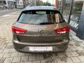 SEAT Leon 1.6 TDI / Pack Dynamic / Pack Family / Pack Conven Bruin - thumbnail 3