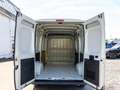 Peugeot Boxer L2H2 333 2.2 HDi verstärkt+el.Fenster+ZV+ABS Bianco - thumbnail 14