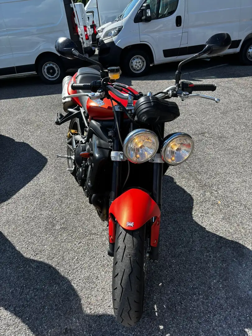 Triumph Speed Triple R 675 - 2
