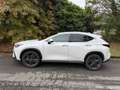 Lexus NX 200t NX II 2022 450h+ 2.5 phev Luxury 4wd e-cvt Bianco - thumbnail 7