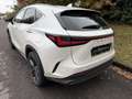 Lexus NX 200t NX II 2022 450h+ 2.5 phev Luxury 4wd e-cvt Bianco - thumbnail 8