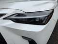 Lexus NX 200t NX II 2022 450h+ 2.5 phev Luxury 4wd e-cvt Bianco - thumbnail 2