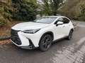 Lexus NX 200t NX II 2022 450h+ 2.5 phev Luxury 4wd e-cvt Bianco - thumbnail 1